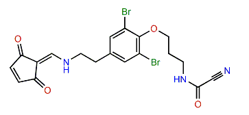 Subereamide A